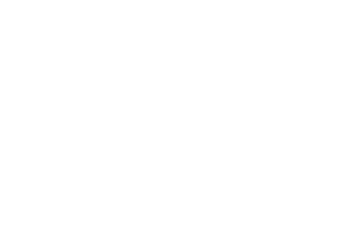 VIE Wealth Management logo